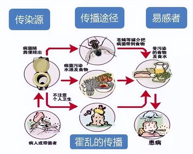 上厕所竟有生命危险？揭秘传说中的‘水猴子’在厕所中的潜在危害