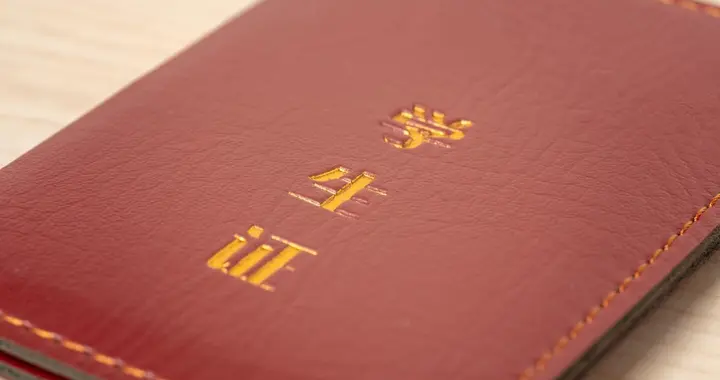 不比不知道！本省上大学vs外省上大学，差距竟如此悬殊