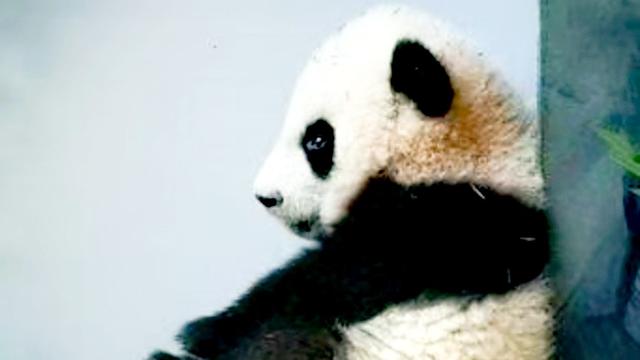 前朝董爷：发呆何尝不是一种幸福？  今天