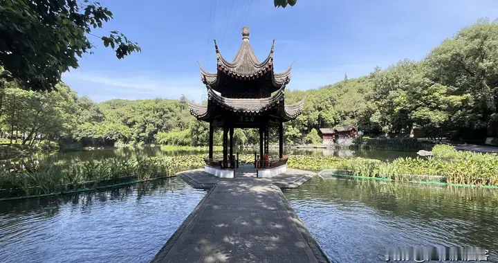 江阳沽酒客，心向孤者行，酒城半生，不恋杯盏只爱人间烟火