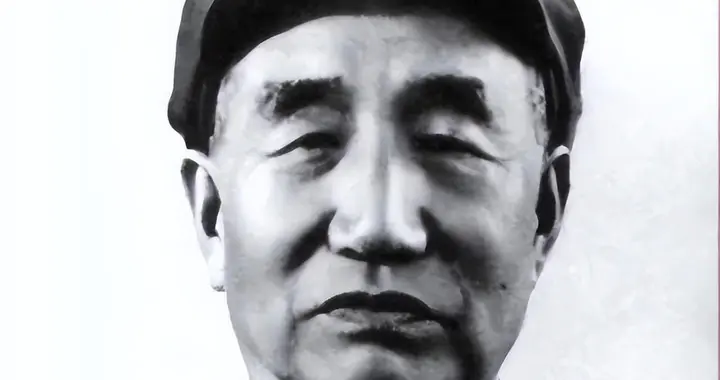 82年徐向前采访坦言：我负责任地说没见过所谓草地密电