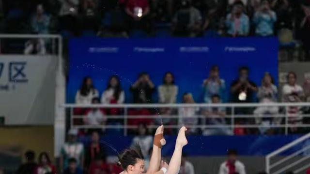 沧海之一粟：跳水爱好者组群辱骂奥运会冠军