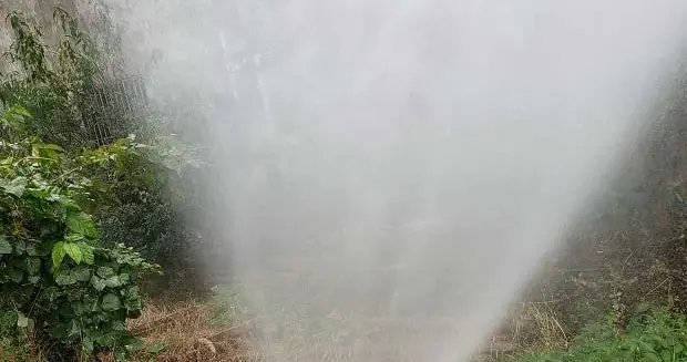 磷肥施用过多的危害有哪些 磷肥施用原则是什么