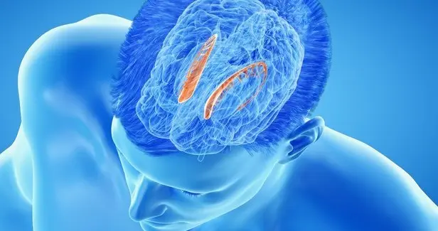 冬季脑梗塞高发，国产药减少脑损伤，促进功能恢复，脑梗塞良药