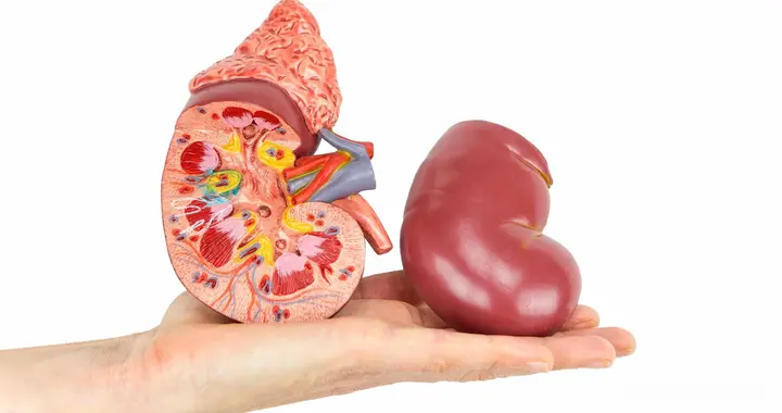 肾脏病患者为什么要重视高血压？