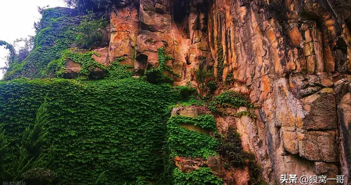 人在低谷期，要学会借运