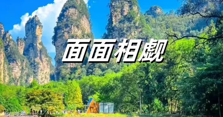 面面相觑，该怎么读？你读对了吗？