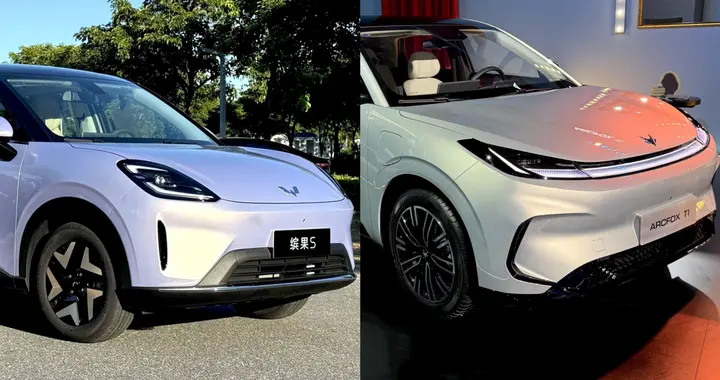 热度不低的极狐T1遇上缤果S，这道选择题我们怎么解呢？