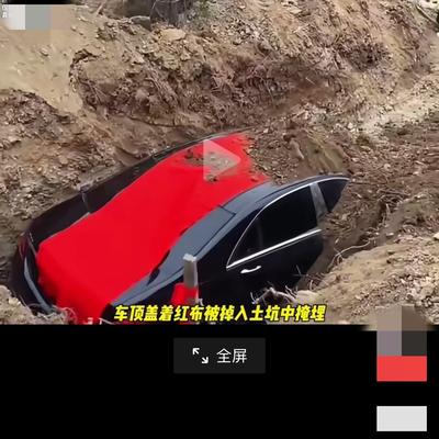 杨姨日常：昨天看到一条这样的视频，简直让