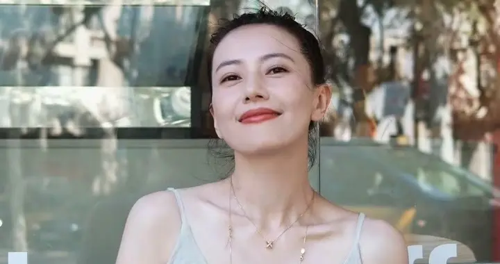 美人图鉴—高圆圆