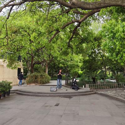 自由的飞鱼鱼：今天看