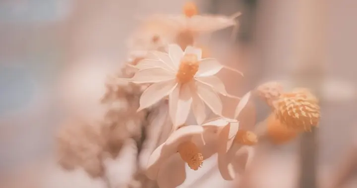 女人想结束和异性的关系，一般不会直说，而是做这两件事逼你离开