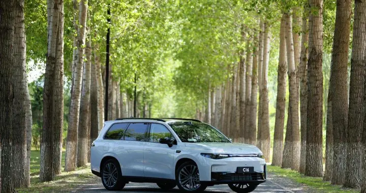 春节回家开哪款？零跑C16和比亚迪唐，预算20万以内怎么选？