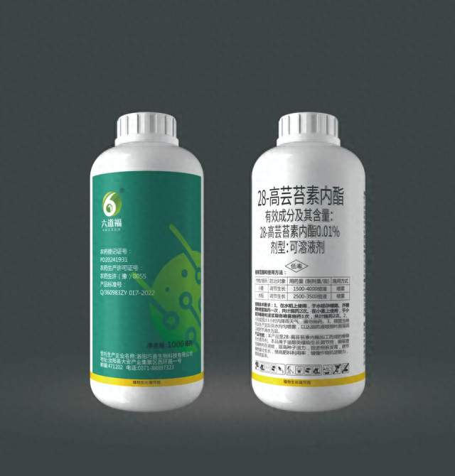 土壤消毒克服蔬菜连作障碍