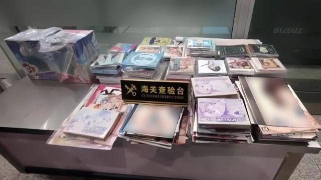 大象传奇：辣眼睛！一女子从日本坐飞机回国