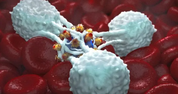 癌症化疗后，骨髓抑制也分轻重，看看你血常规上的求救密码