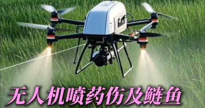 太惨了！鱼塘被无人机喷药致鱼死亡 ，当地回应:会给鱼塘主人解决