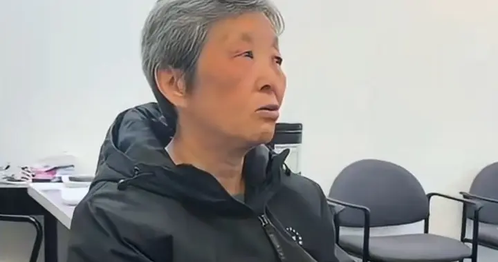 花费5万赴美国淘金的中国大妈陷入困境，每日开销20元，仅剩300元