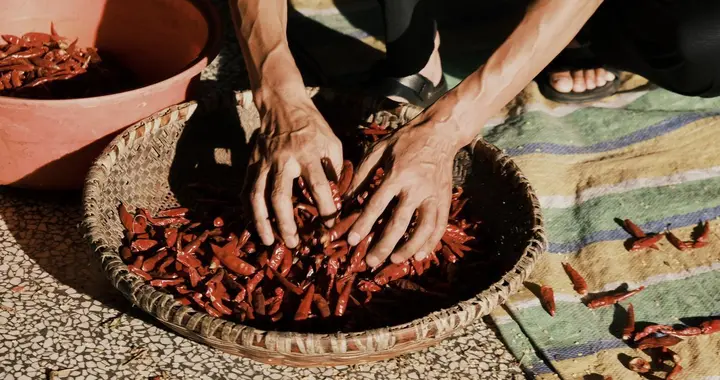 我们不缺吃穿，缺的是把日子过甜的本事