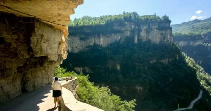 1500万研究生绝境！2025彻底洗牌：硕士不如本科，就业率仅3.83%