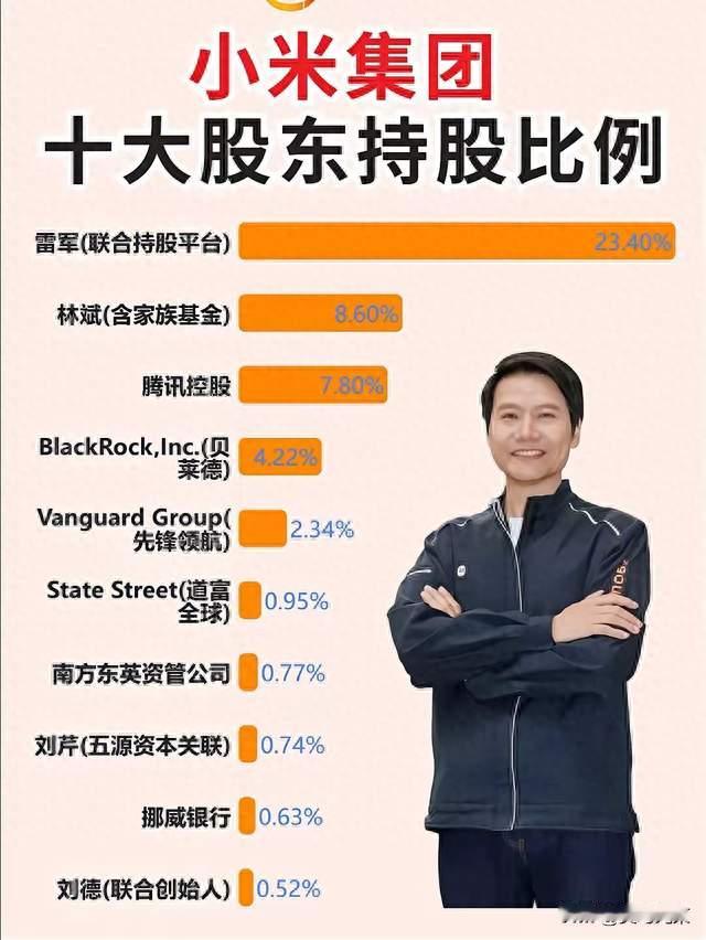 小米集团十大股东揭秘：股权结构背后的发展底气