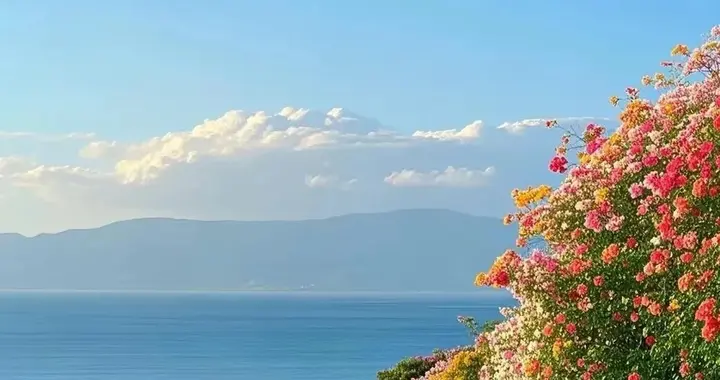 跑步，5公里足矣。别再盲目加量，这才是最聪明的跑法。