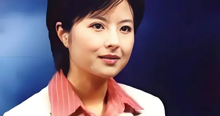 央视主持人张泉灵