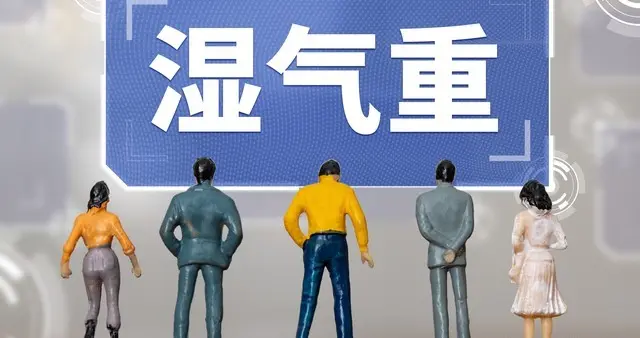 体内有湿别乱调！中医治湿八法全解析，找对方法祛湿才有效