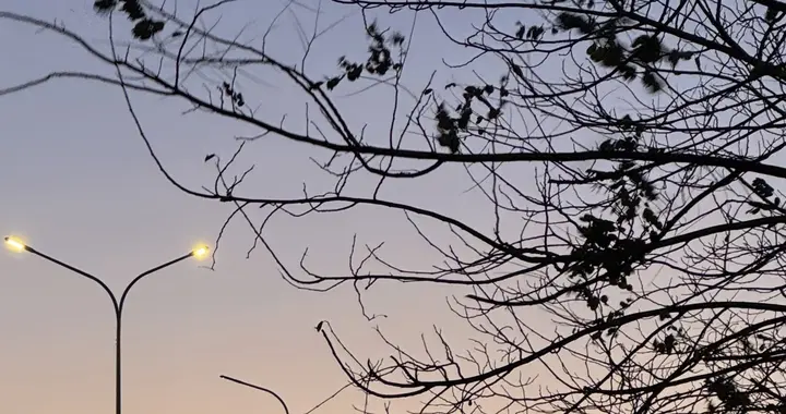 100万再拿光大银行15年还能复刻过往收益？现实藏着三重关键变量