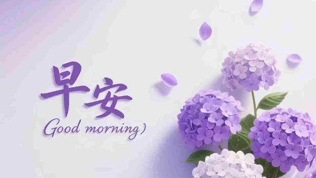 繁花看雨：日升月落，时光流转 生活的脚步