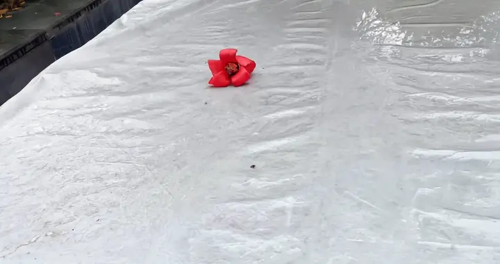 退休后帮带娃反就被吼，我果断走人：一屋不住三代人，老话没骗人