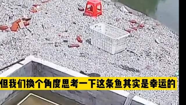 惊险一刻！视频中的意外瞬间