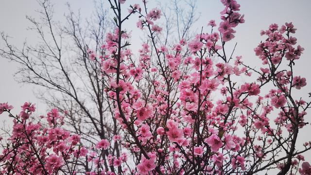 宋前防：随手拍，早成了大家的习惯，不是为