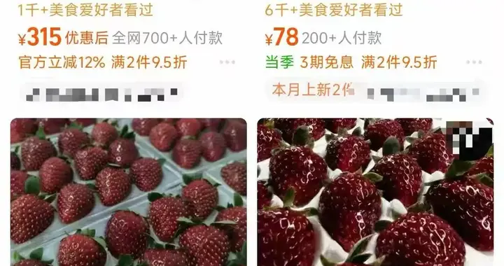 300元一斤的黑草莓是个什么鬼？凭什么这么贵？