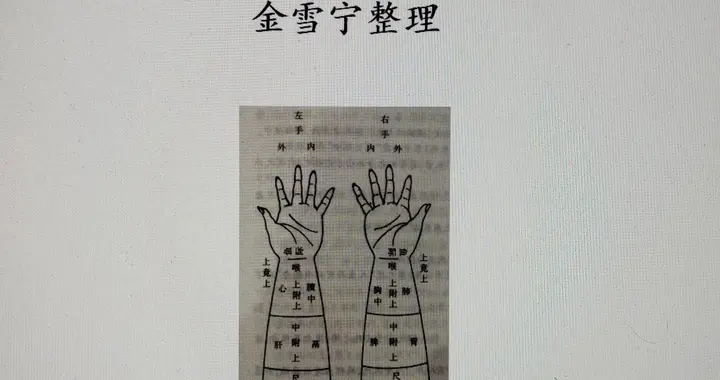 《河间金栋医学论文集》有何临床价值与学术贡献？