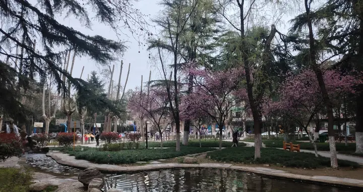 春天不赏花，唯恐是痴人