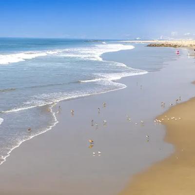 大路：美国纽约长岛吉尔戈海滩这起连环杀人