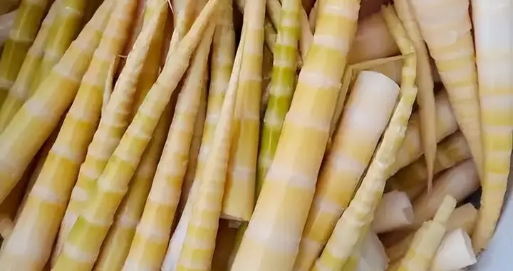 竹笋是旧疾诱因？医生多次提醒：过敏体质少吃这3种发物