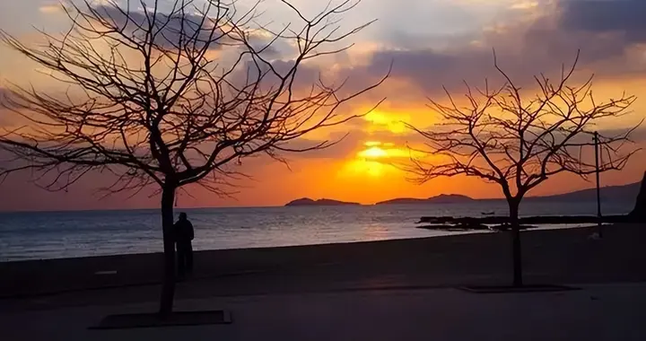 50岁以后，不管财富多少，都要规划这6件事，晚年有依靠