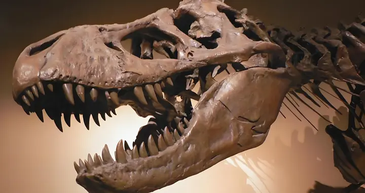 私家车年检这头"恐龙"，该送进博物馆了