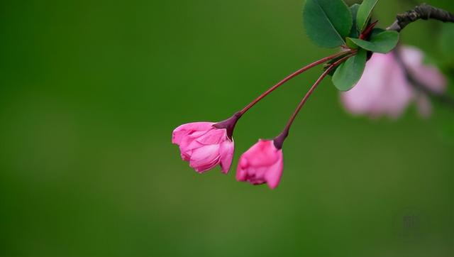真正厉害的人，都不动声色