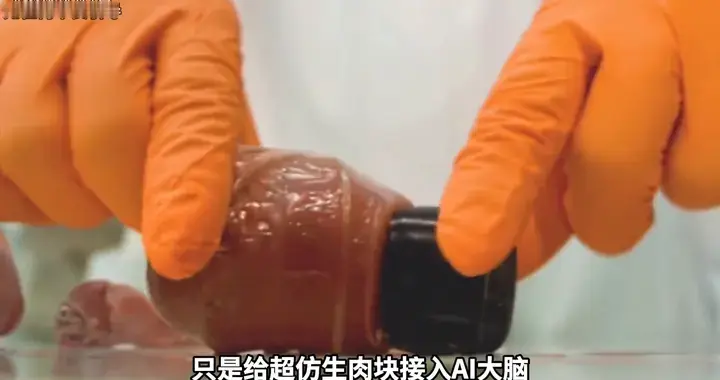 Ai组装仿生模块，湿件来临？