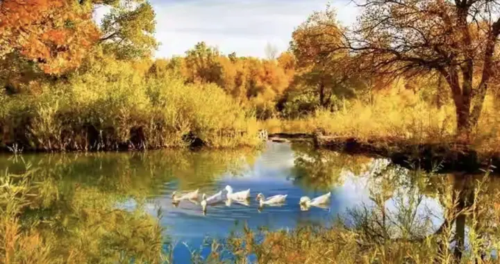 守住内心的平静