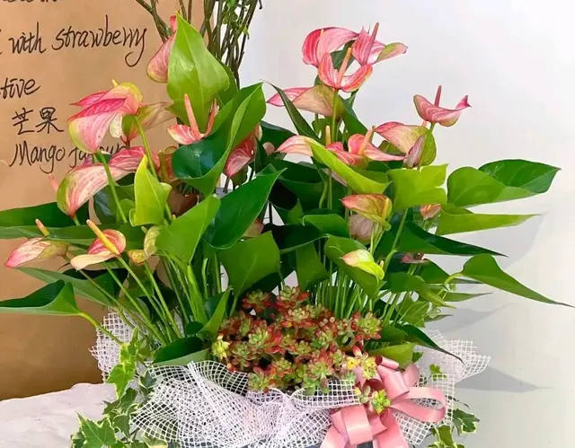 聪明人不养什么花，唯独会养这“5种花”，难怪身体越来越好了！