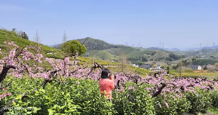 长兴城山古道，看到绝美的茶园梯田！