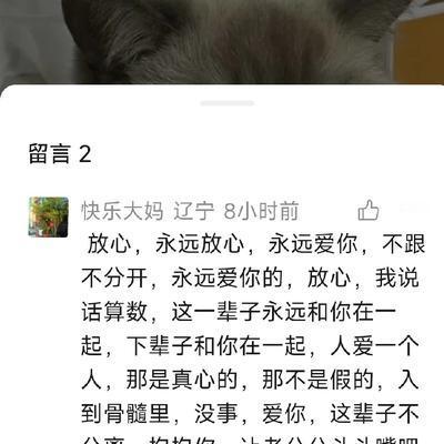 想飞的小蜗牛：哪来的搞笑者？这么搞笑？居