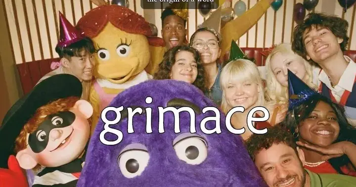 每日单词：grimace