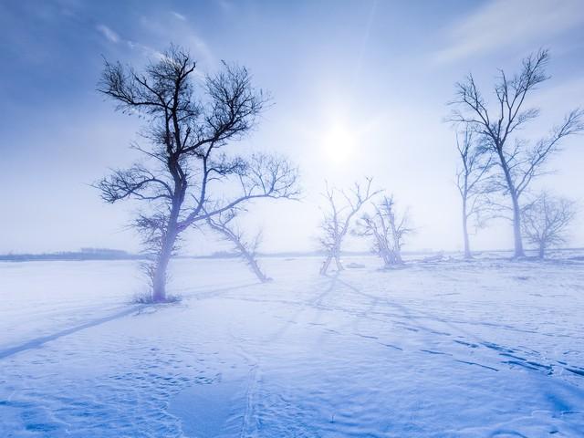 小龙虾|一个中成药，横扫体内潜伏的恶寒