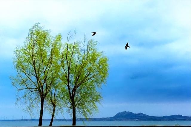 静安的围城——2018年的故事（683）