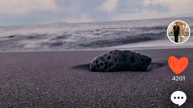 认真喵：世事总有不公与坎坷， 人心却从来